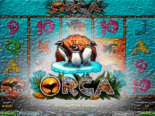 Orca